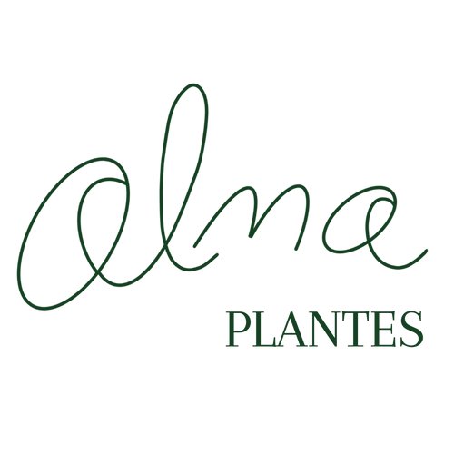 Alma Plantes
