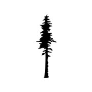 Sequoia Massothérapie Inc