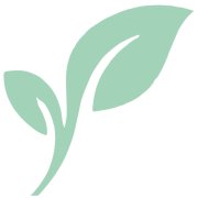 ZOKA STUDIO ESTHÉTIQUE
